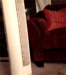 心情日了狗表情包11