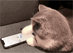 美女微信图表情10 美女微信图表情10