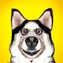 爱情还是追星表情包7