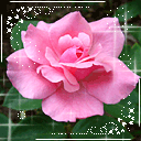 祝福的符号表情11 祝福的符号表情11