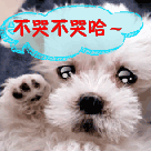 坏坏表情包不带字1