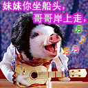 qq群里骰子表情包5 qq群里骰子表情包5