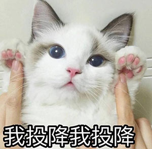 动态表情包jpg格式3 动态表情包jpg格式3