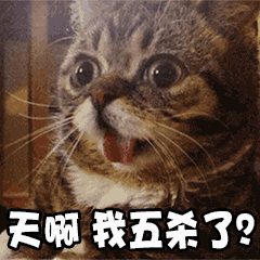 冬天睡觉动态表情包9