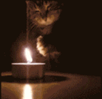 你现在心情好吗9 你现在心情好吗9