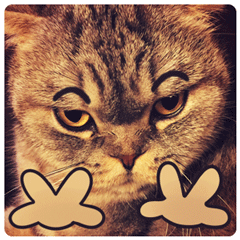 心情很烦的表情符号4 心情很烦的表情符号4