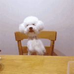 下雨天的表情包 微信3