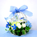 搞笑的表情包问候语12