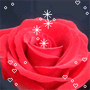 积极向上的沙雕表情包动态14