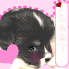 动漫暴怒表情包1 动漫暴怒表情包1