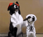 微信年度表情20259