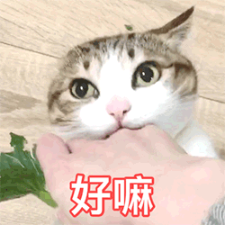 非主流双手插袋表情包9 非主流双手插袋表情包9