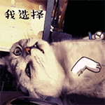 表情包元宵节祝福2