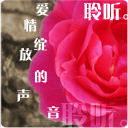 面包表情包图片大全1