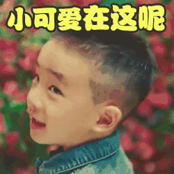 哈士奇的表情包怎么画简笔画6