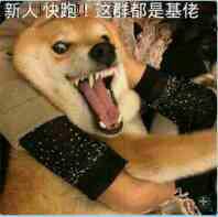 生活压力沙雕网友表情包1 生活压力沙雕网友表情包1