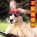 形容与你的搞笑表情12