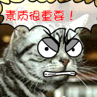 狗屁浪漫爱情故事表情包动态11 狗屁浪漫爱情故事表情包动态11