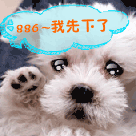 12组相信的鄙视表情4 12组相信的鄙视表情4