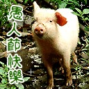 恶搞表情包素材6 恶搞表情包素材6