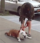 搜狗输入文字表情符号9