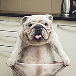 喜怒哀乐表情涂色4 喜怒哀乐表情涂色4