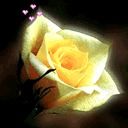 群员肃静表情包1 群员肃静表情包1