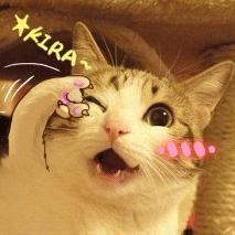 自信的表情是什么样的9 自信的表情是什么样的9