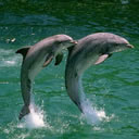 我祝愿所有的幸福都能与你相伴10