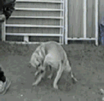 捂着脸哭的图片暴走表情包4 捂着脸哭的图片暴走表情包4