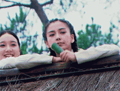 鹰的表情包2 鹰的表情包2