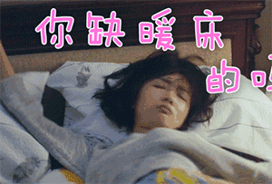 我想睡觉表情包3