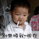 qq表情一白熊一棕熊的表情包4