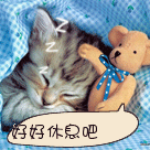 冬天睡觉动态表情包5