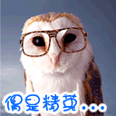 搞笑p图图片文字表情1