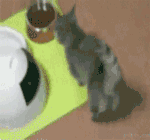 关于寒假作业的说说搞笑7 关于寒假作业的说说搞笑7