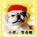 把你身边的兄弟介绍给我的斗图2 把你身边的兄弟介绍给我的斗图2