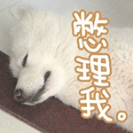 为什么qq发出来是大表情7 为什么qq发出来是大表情7