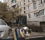 手绘强大表情10