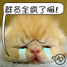 搞笑的生日礼物表情11 搞笑的生日礼物表情11