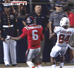 猫吃鱼的qq表情6