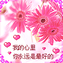 关于动漫的聊天表情6