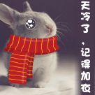 描述孩子的鄙视表情图片7 描述孩子的鄙视表情图片7