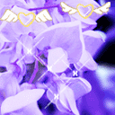 我理解了文字表情包12 我理解了文字表情包12