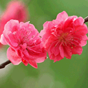 扶墙表情包 搞笑图片14