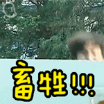 形容苹果汁水多14 形容苹果汁水多14