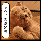 交作业可爱表情包带字5