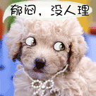 大耳狗表情包沙雕8 大耳狗表情包沙雕8