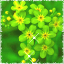 比喻可以的表情包1