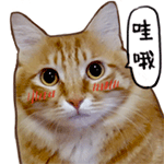 变魔法文字表情8 变魔法文字表情8